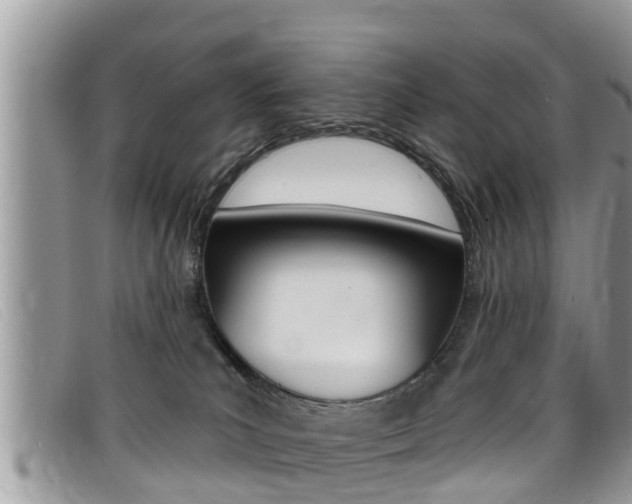 X0000099440039200805090757