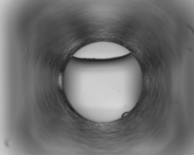 X0000099440042200805090757