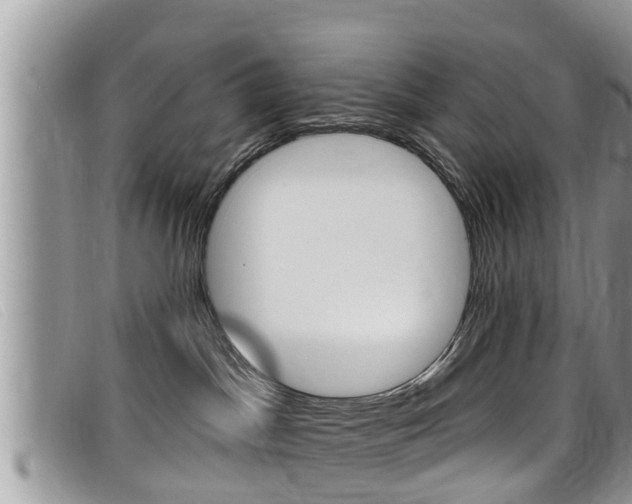 X0000099440045200805090757