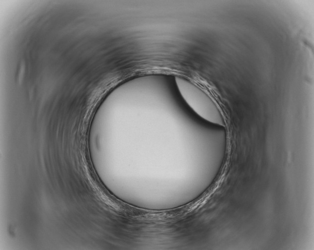 X0000099440049200805090756