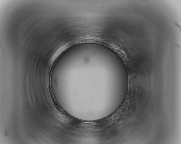 X0000099440051200805090756