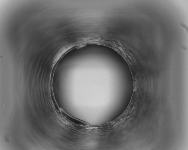 X0000099440052200805090756