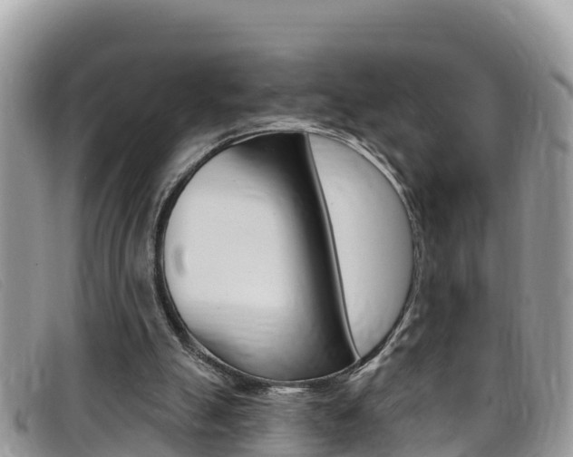 X0000099440055200805090756