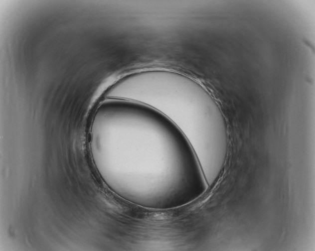 X0000099440056200805090756