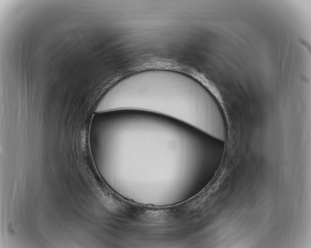 X0000099440057200805090756