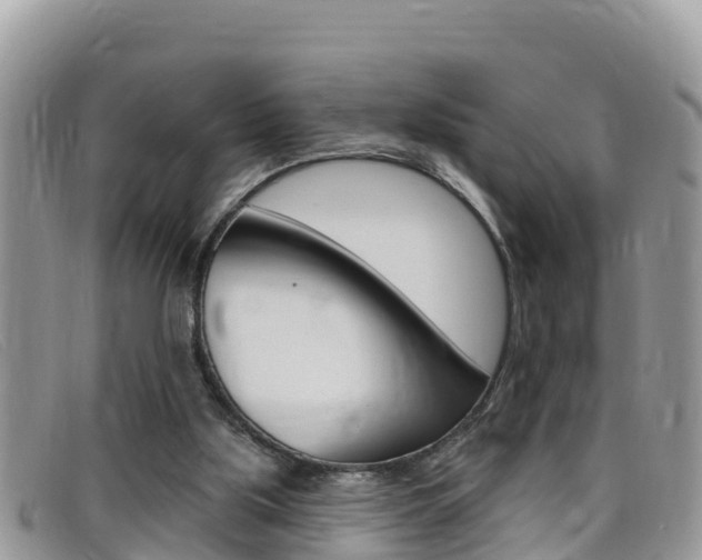 X0000099440059200805090756