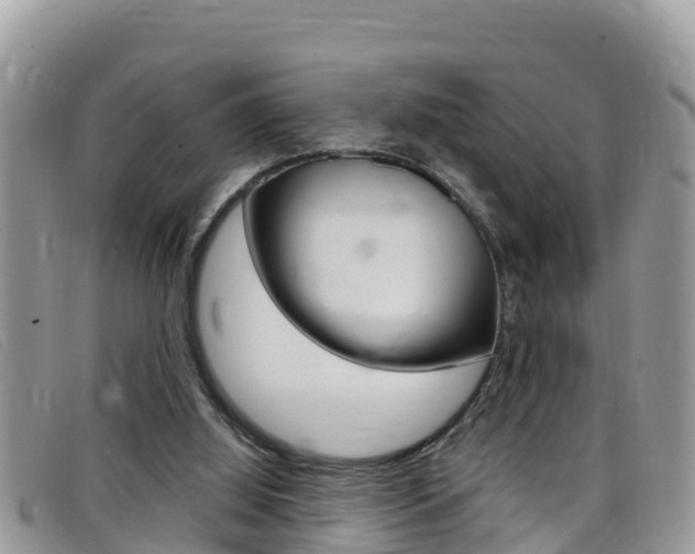 X0000099440060200805090756