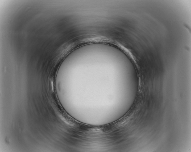 X0000099440061200805090756