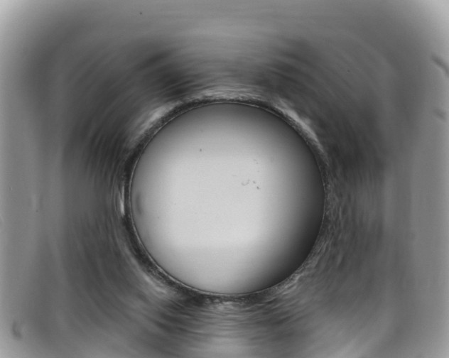 X0000099440062200805090756