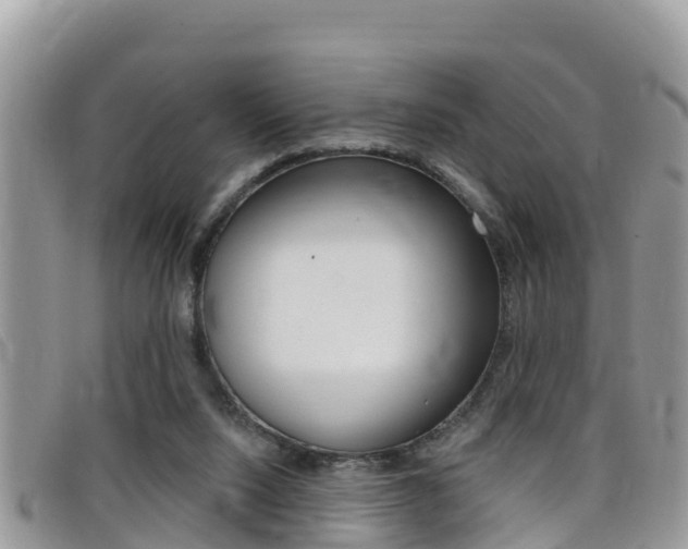 X0000099440064200805090756