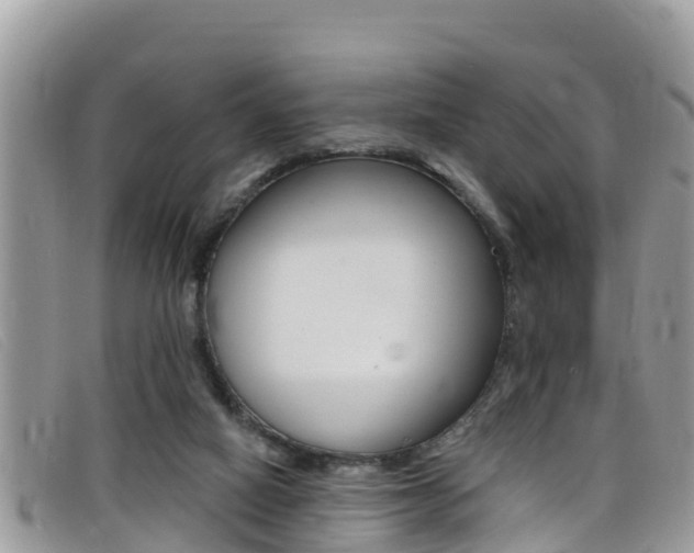 X0000099440066200805090756