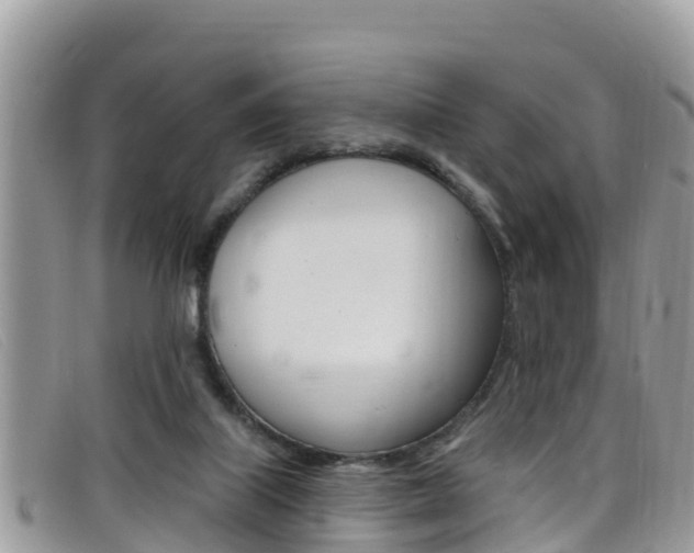X0000099440067200805090756