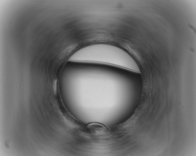 X0000099440070200805090756