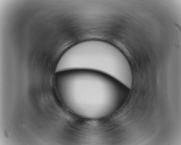 X0000099440071200805090756