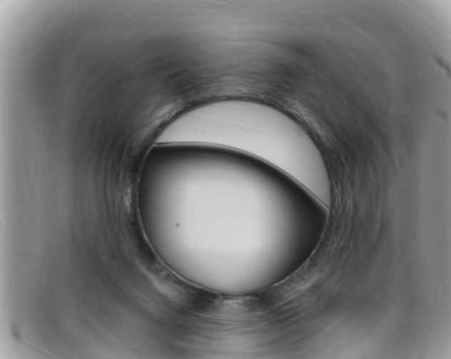 X0000099440072200805090757
