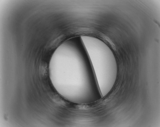 X0000099440073200805090757