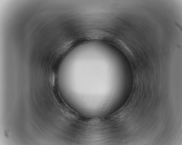 X0000099440076200805090757
