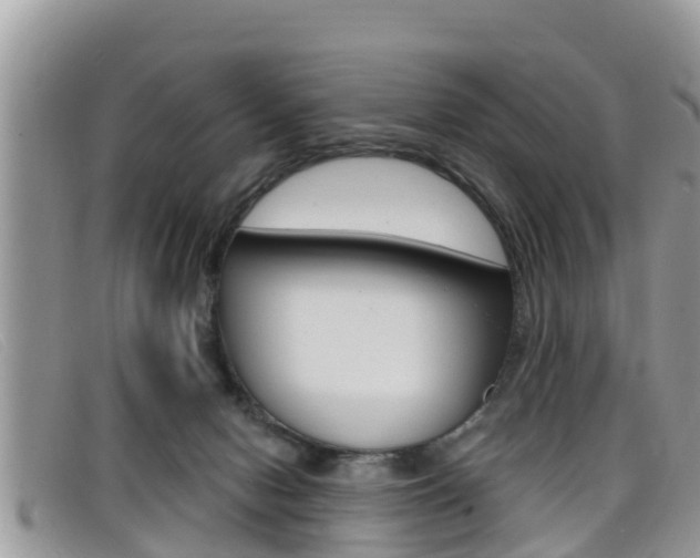 X0000099440078200805090757