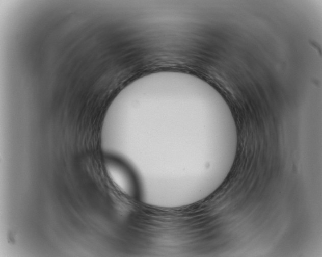 X0000099440079200805090757