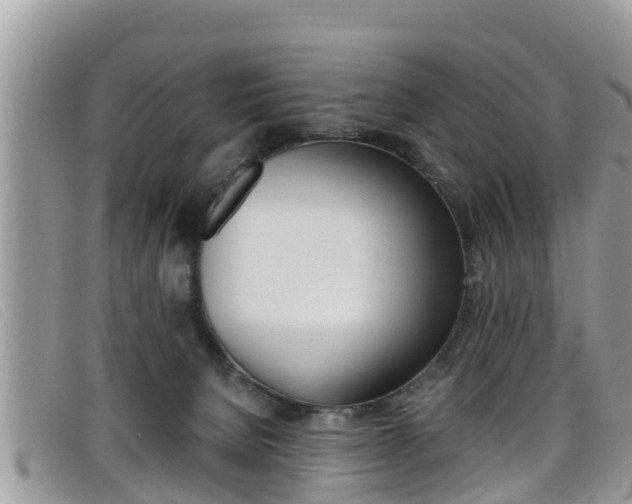 X0000099440080200805090757