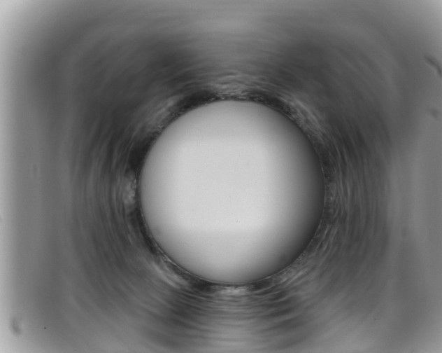 X0000099440081200805090757