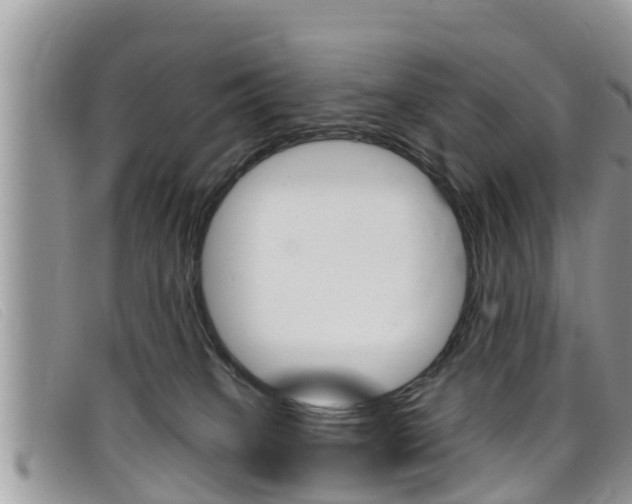 X0000099440085200805090757