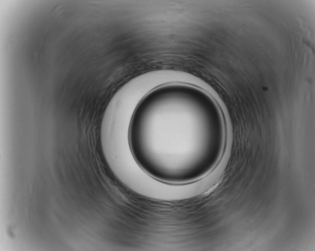 X0000099440086200805090757