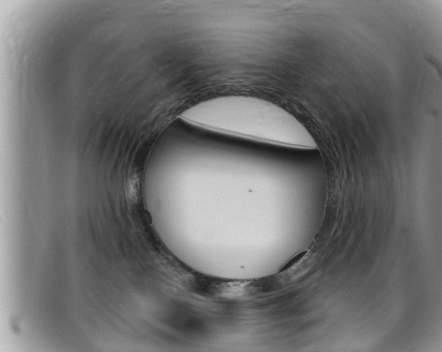 X0000099440090200805090757