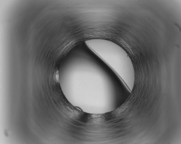 X0000099440095200805090757