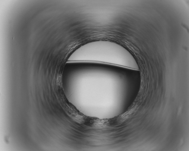 X0000099440096200805090757