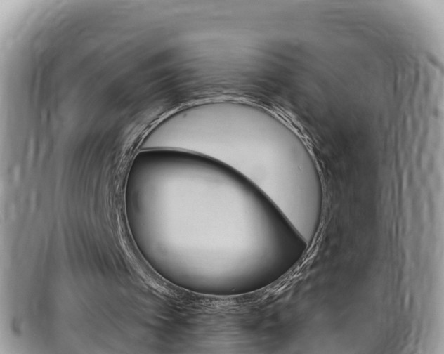 X0000099440097200805090756