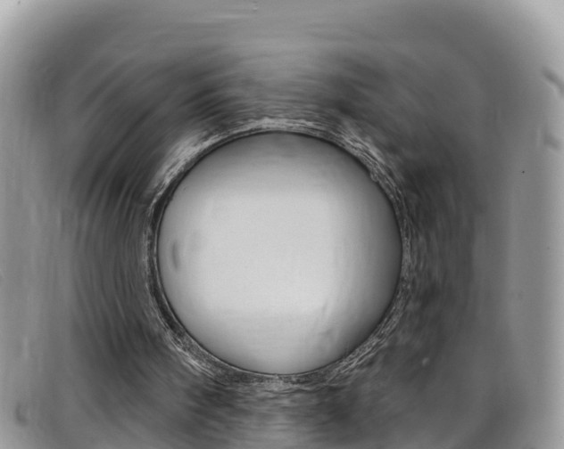 X0000099440098200805090756