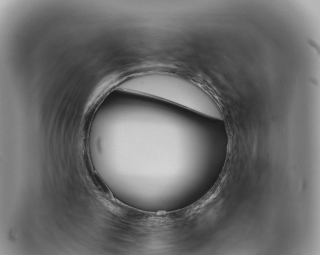 X0000099440101200805090756