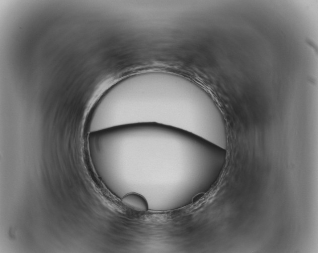 X0000099440102200805090756