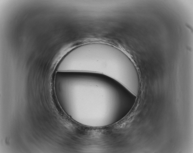 X0000099440103200805090756