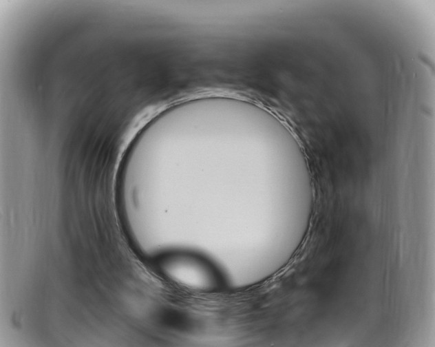 X0000099440104200805090756