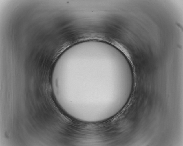 X0000099440105200805090756