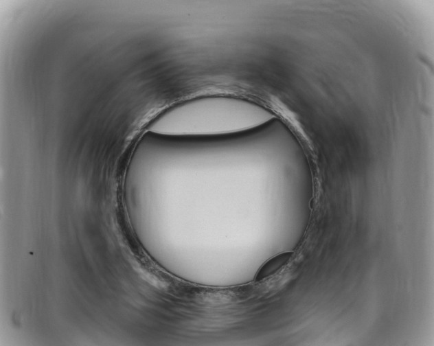 X0000099440106200805090756