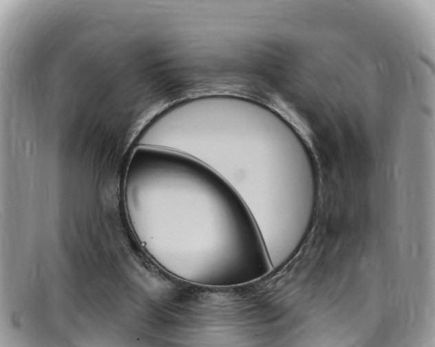 X0000099440107200805090756