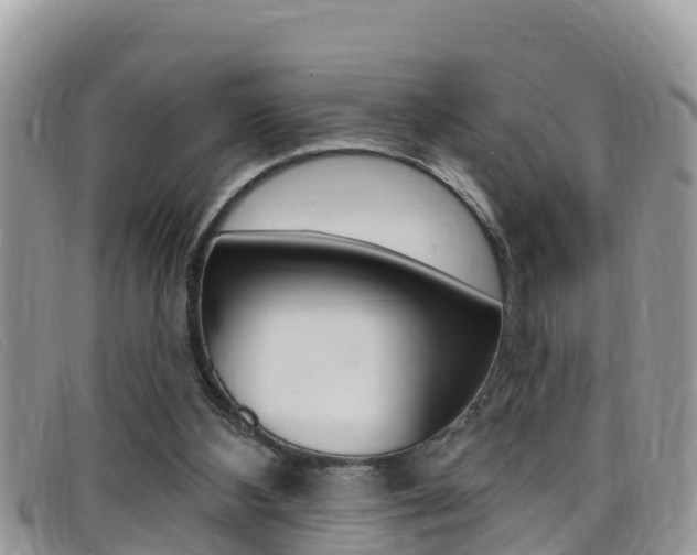 X0000099440108200805090756