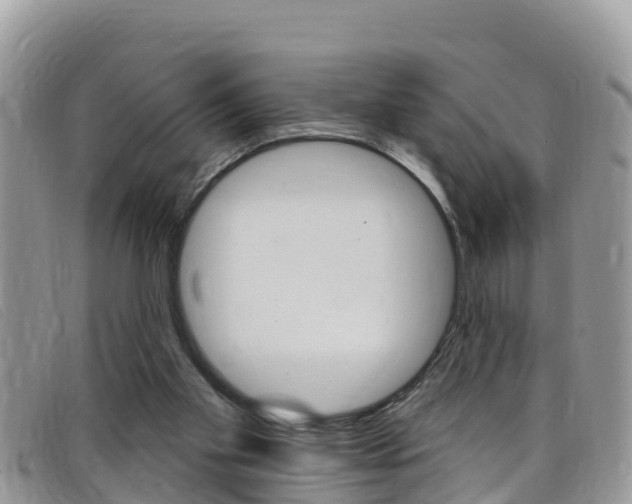 X0000099440109200805090756