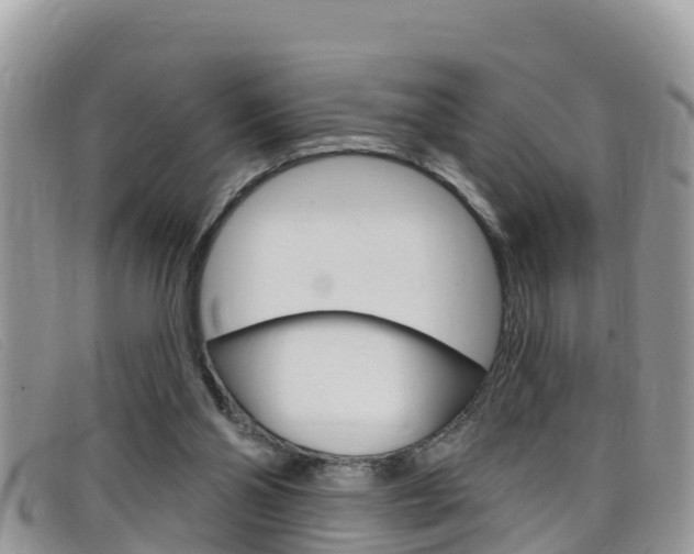 X0000099440110200805090756