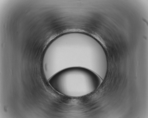 X0000099440111200805090756