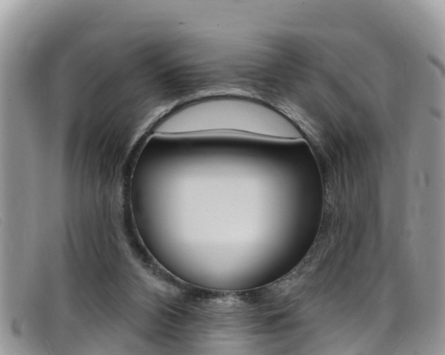 X0000099440112200805090756