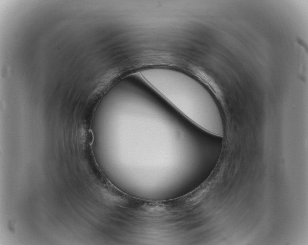X0000099440113200805090756