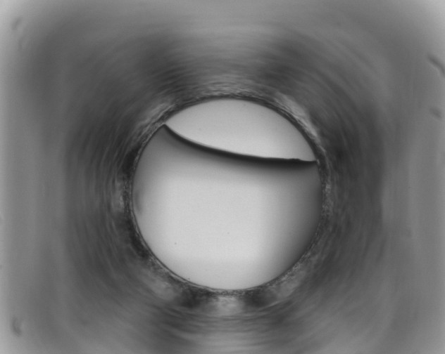 X0000099440114200805090756