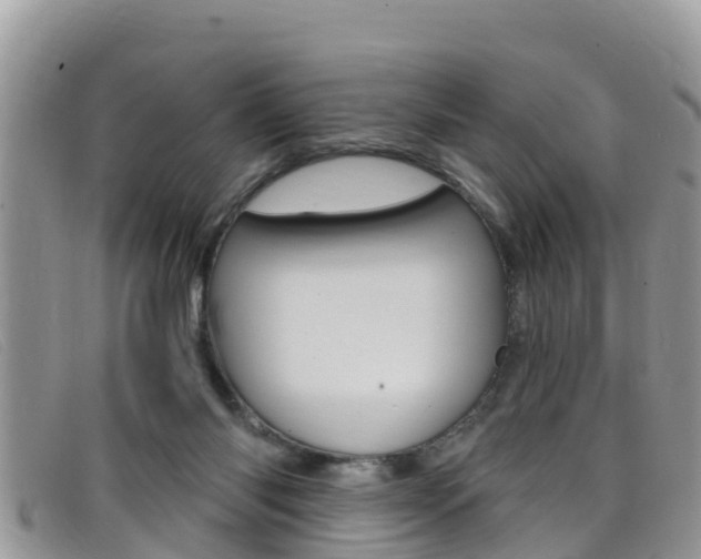 X0000099440118200805090756