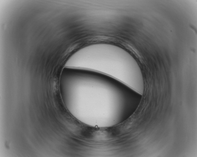 X0000099440119200805090756