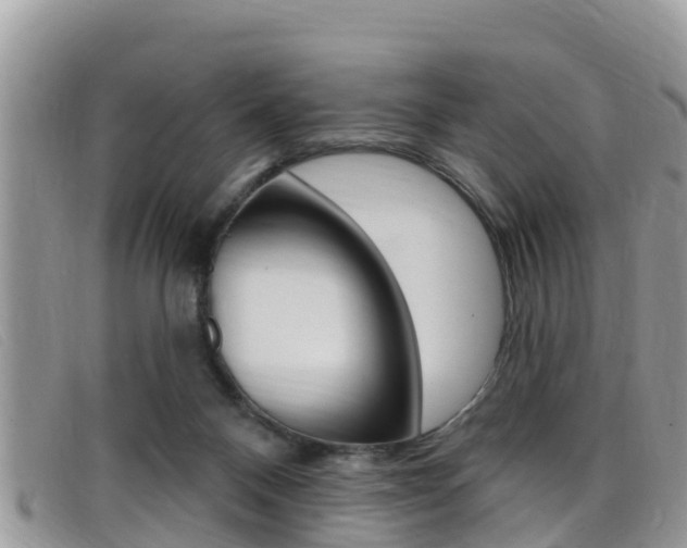 X0000099440120200805090756