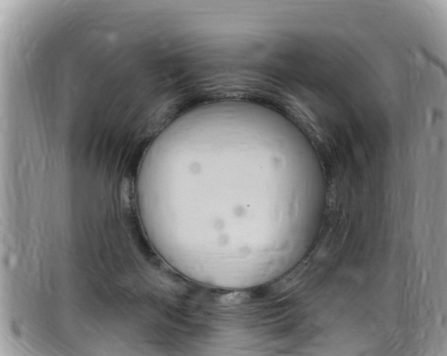 X0000099440122200805090756